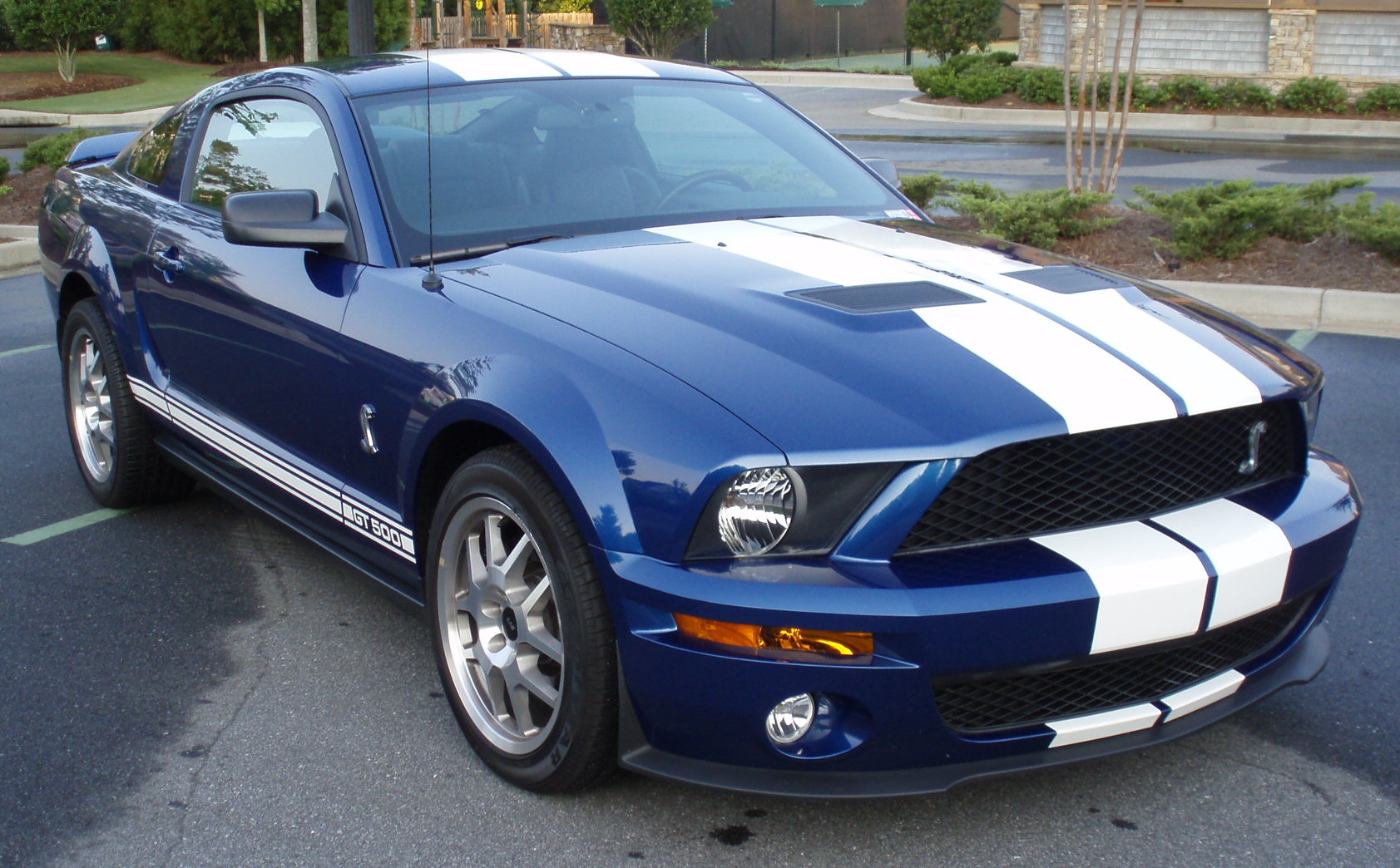 2007 Ford shelby cobra gt500 dealers #9